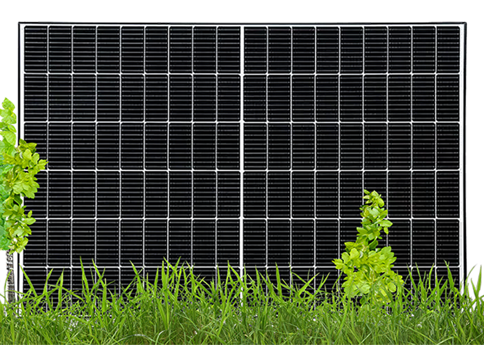 PV-Modul von Pflanzen verwachsen. Es benötigt eine Mahd im Frühling und Herbst – durchgeführt von SoluShine, der Solarreinigung in Mitteldeutschland.