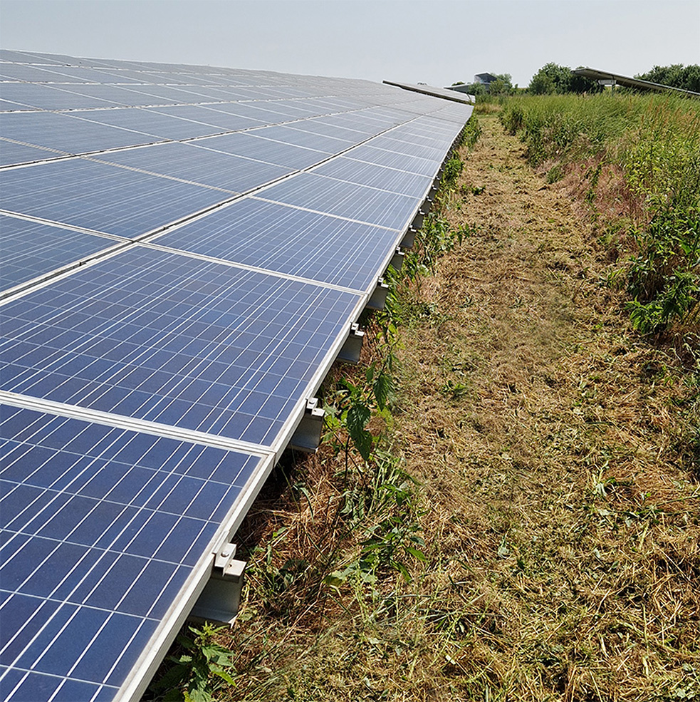 Solarpark sauber freigemäht durch eine Solarparkmahd von SoluShine Solarreinigung